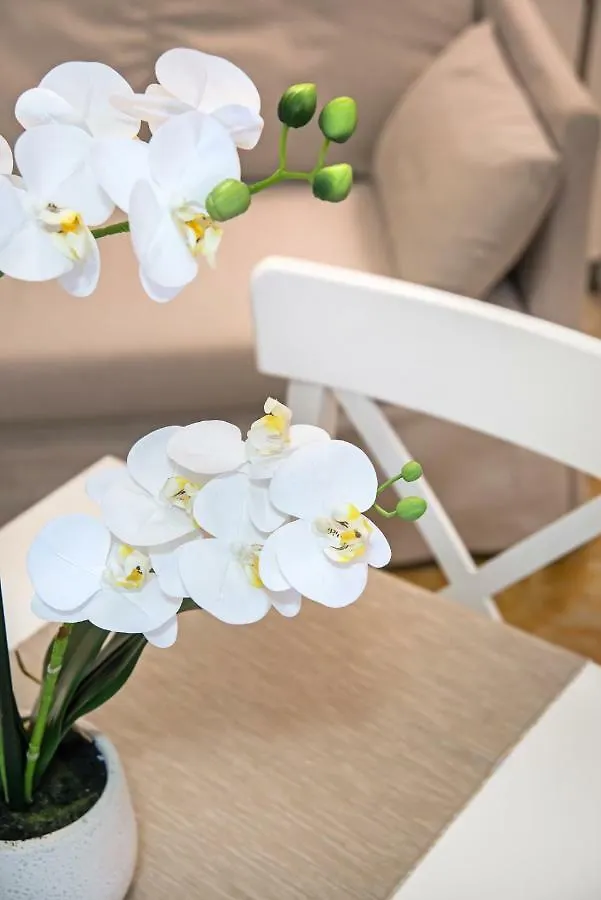Veneziacentopercento Alle Ancore Apartment Venice